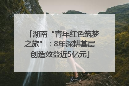 湖南“青年红色筑梦之旅”：8年深耕基层创造效益近5亿元