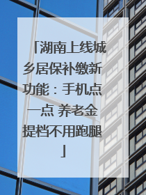 湖南上线城乡居保补缴新功能：手机点一点 养老金提档不用跑腿