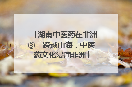 湖南中医药在非洲③｜跨越山海，中医药文化浸润非洲