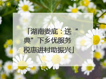 湖南娄底：送“典”下乡优服务 税惠进村助振兴