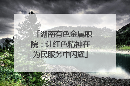 湖南有色金属职院：让红色精神在为民服务中闪耀