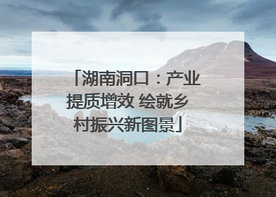 湖南洞口：产业提质增效 绘就乡村振兴新图景
