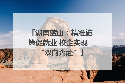 湖南蓝山：精准施策促就业 校企实现“双向奔赴”