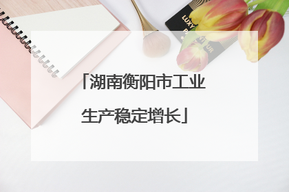 湖南衡阳市工业生产稳定增长