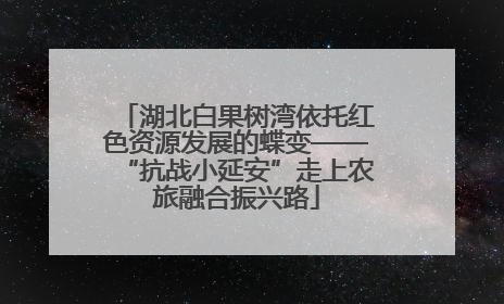 湖北白果树湾依托红色资源发展的蝶变——“抗战小延安”走上农旅融合振兴路