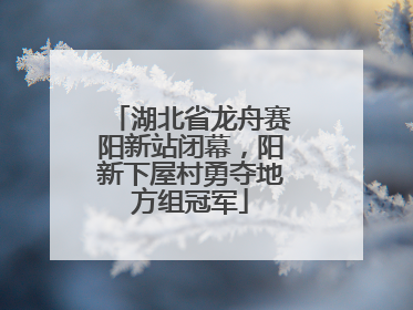 湖北省龙舟赛阳新站闭幕，阳新下屋村勇夺地方组冠军