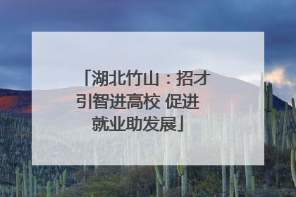 湖北竹山：招才引智进高校 促进就业助发展