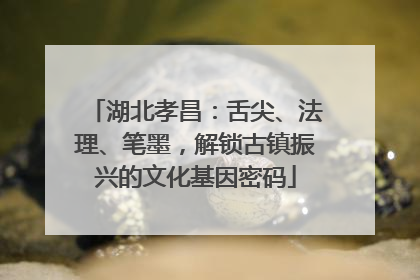 湖北孝昌：舌尖、法理、笔墨，解锁古镇振兴的文化基因密码