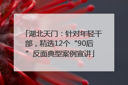 湖北天门：针对年轻干部，精选12个“90后”反面典型案例宣讲