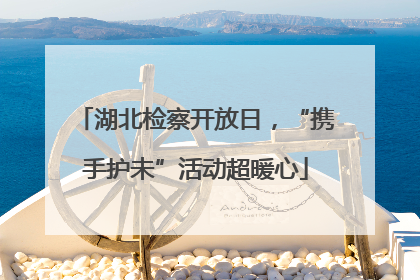 湖北检察开放日，“携手护未”活动超暖心