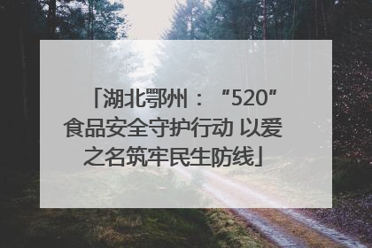 湖北鄂州：“520”食品安全守护行动 以爱之名筑牢民生防线
