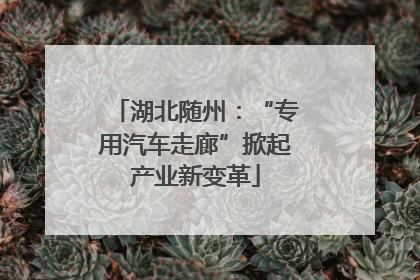 湖北随州：“专用汽车走廊”掀起产业新变革