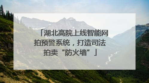 湖北高院上线智能网拍预警系统，打造司法拍卖“防火墙”