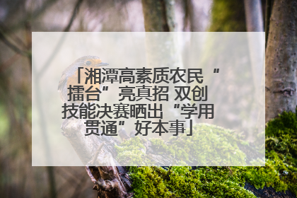 湘潭高素质农民“擂台”亮真招 双创技能决赛晒出“学用贯通”好本事