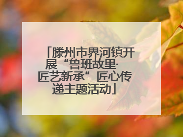 滕州市界河镇开展“鲁班故里· 匠艺新承”匠心传递主题活动