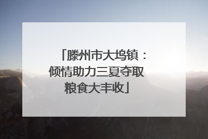 滕州市大坞镇：倾情助力三夏夺取粮食大丰收