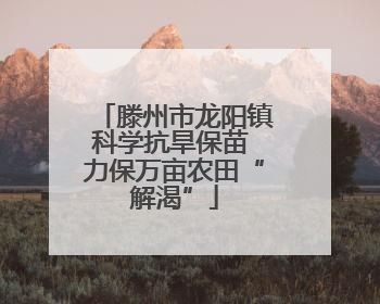 滕州市龙阳镇科学抗旱保苗 力保万亩农田“解渴”