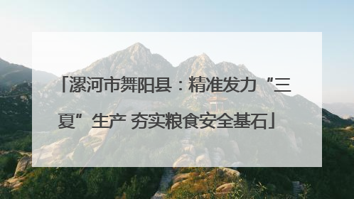 漯河市舞阳县：精准发力“三夏”生产 夯实粮食安全基石