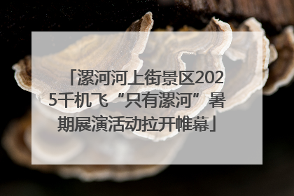 漯河河上街景区2025千机飞“只有漯河”暑期展演活动拉开帷幕