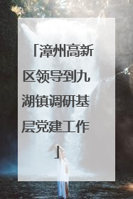 漳州高新区领导到九湖镇调研基层党建工作