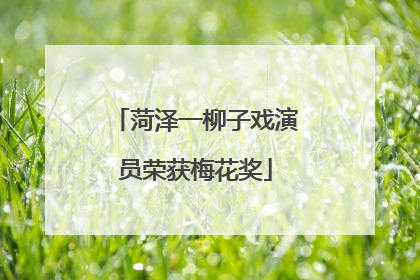 菏泽一柳子戏演员荣获梅花奖
