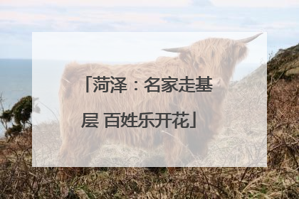 菏泽：名家走基层 百姓乐开花