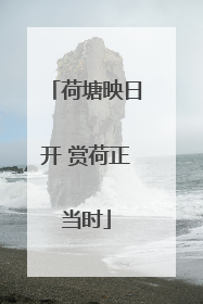 荷塘映日开 赏荷正当时