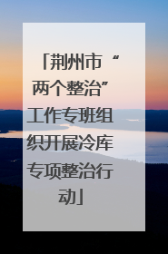 荆州市“两个整治”工作专班组织开展冷库专项整治行动