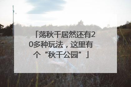 荡秋千居然还有20多种玩法，这里有个“秋千公园”