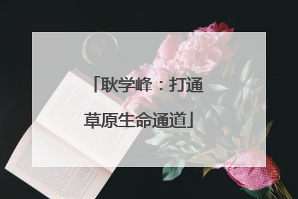 耿学峰：打通草原生命通道