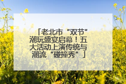 老北市“双节”潮玩盛宴启幕！五大活动上演传统与潮流“碰撞秀”
