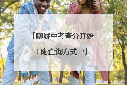 聊城中考查分开始！附查询方式→