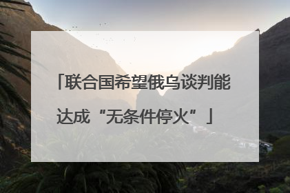 联合国希望俄乌谈判能达成“无条件停火”