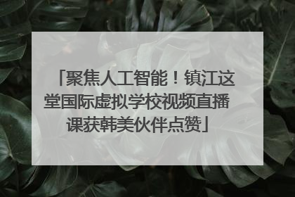 聚焦人工智能！镇江这堂国际虚拟学校视频直播课获韩美伙伴点赞