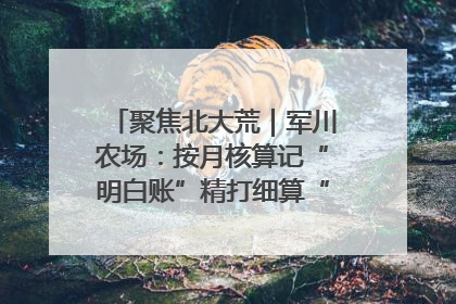 聚焦北大荒｜军川农场：按月核算记“明白账”精打细算“过紧日子”
