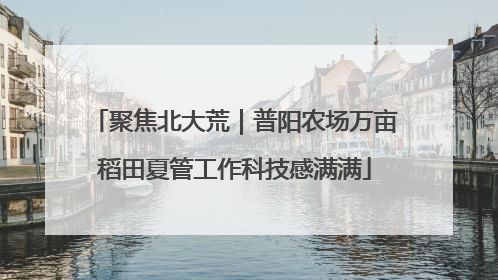 聚焦北大荒｜普阳农场万亩稻田夏管工作科技感满满