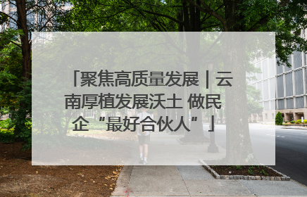 聚焦高质量发展｜云南厚植发展沃土 做民企“最好合伙人”