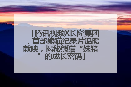 腾讯视频X长隆集团，首部熊猫纪录片温暖献映，揭秘熊猫“妹猪”的成长密码