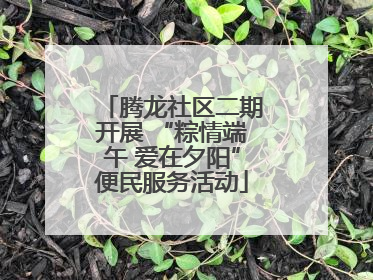 腾龙社区二期开展 “粽情端午 爱在夕阳”便民服务活动