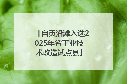 自贡沿滩入选2025年省工业技术改造试点县