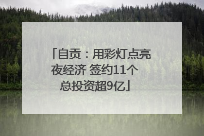 自贡：用彩灯点亮夜经济 签约11个总投资超9亿