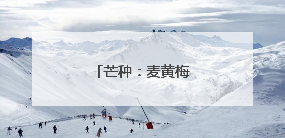 芒种：麦黄梅熟 种下希望