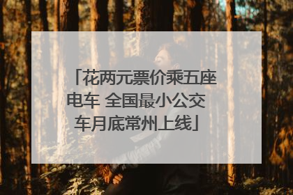 花两元票价乘五座电车 全国最小公交车月底常州上线