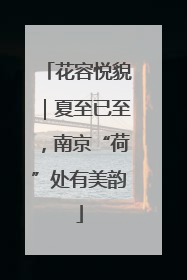 花容悦貌｜夏至已至，南京“荷”处有美韵