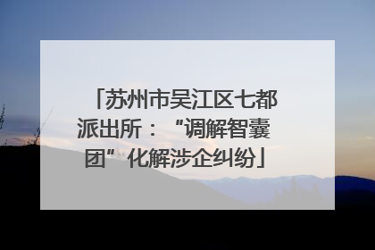 苏州市吴江区七都派出所：“调解智囊团”化解涉企纠纷
