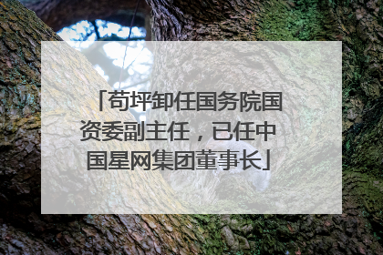 苟坪卸任国务院国资委副主任，已任中国星网集团董事长
