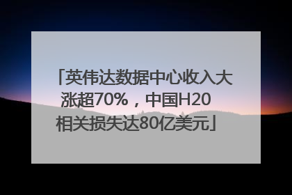 英伟达数据中心收入大涨超70%，中国H20相关损失达80亿美元