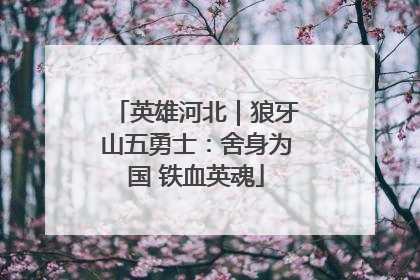 英雄河北｜狼牙山五勇士：舍身为国 铁血英魂