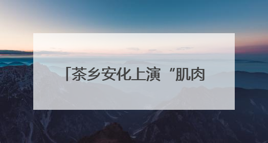 茶乡安化上演“肌肉美学”大赏 湖南省健美健身锦标赛落幕