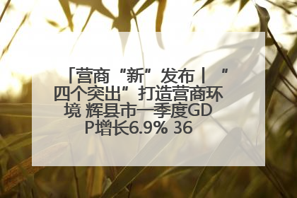 营商“新”发布丨“四个突出”打造营商环境 辉县市一季度GDP增长6.9% 36个重点项目落地